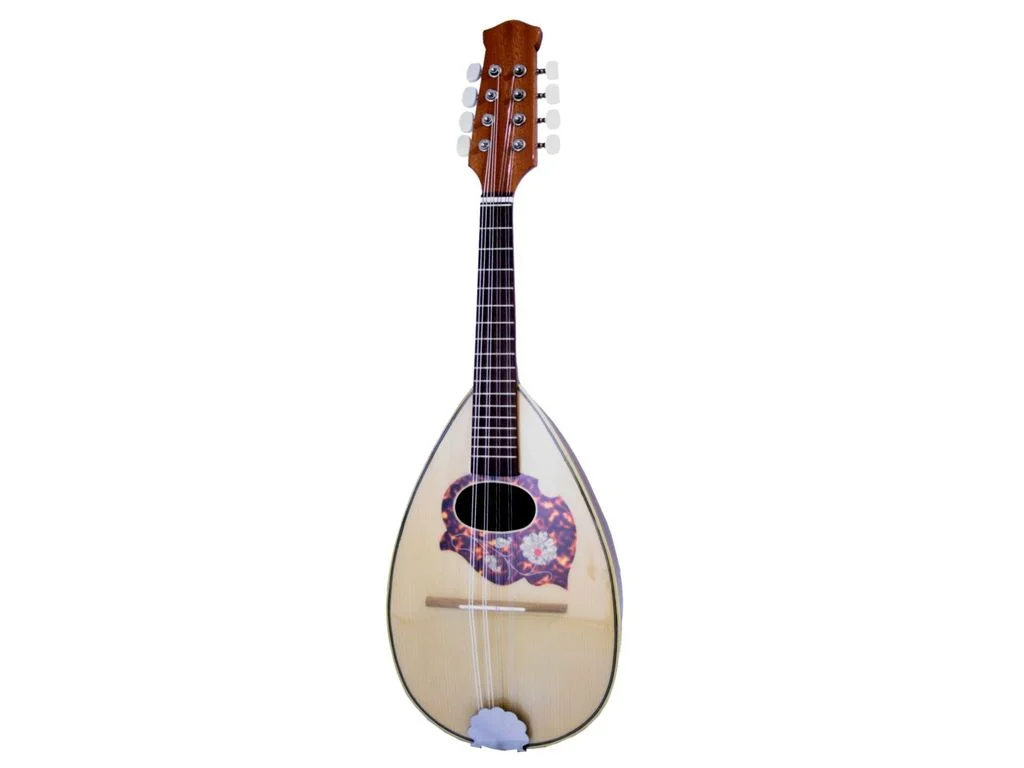 ugo01mwp5zv